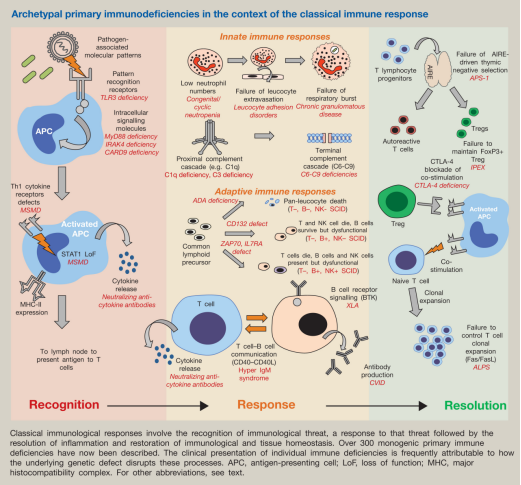 免疫系统罕见疾病