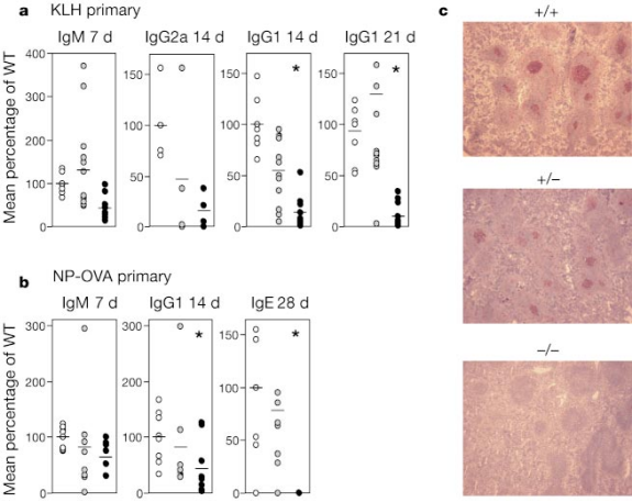 免疫系统罕见疾病