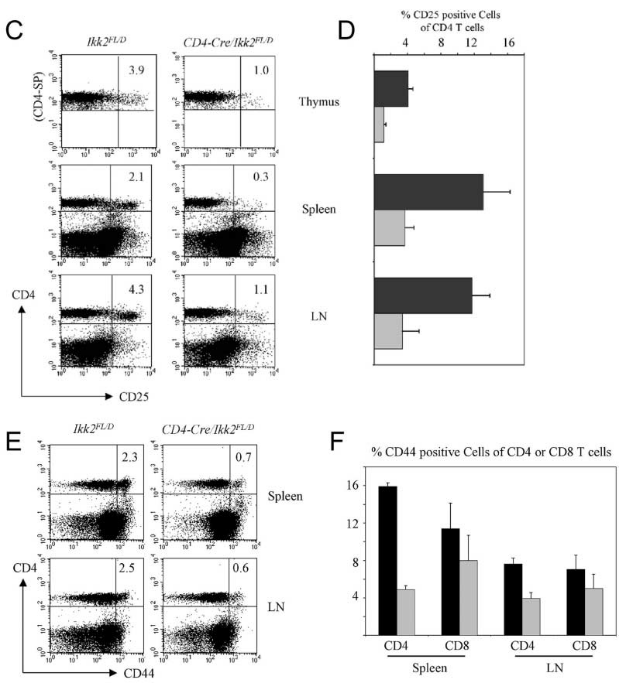 免疫系统罕见疾病
