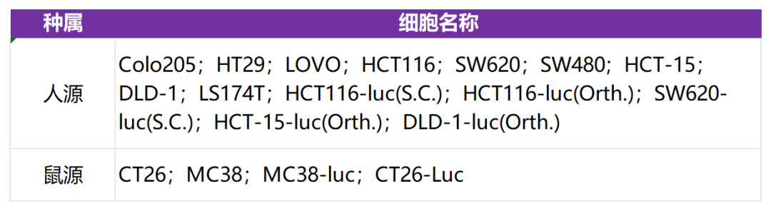 肿瘤疾病常见动物模型 肿瘤疾病常见动物模型