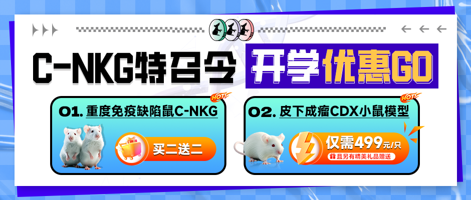 C-NKG小鼠 C-NKG小鼠