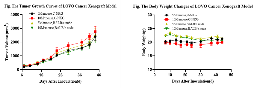 肿瘤疾病常见动物模型之结肠癌篇 肿瘤疾病常见动物模型之结肠癌篇