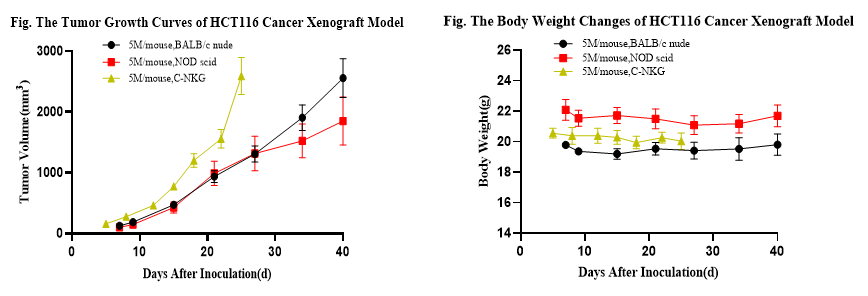 湖南芊墨生物科技有限公司 湖南芊墨生物科技有限公司