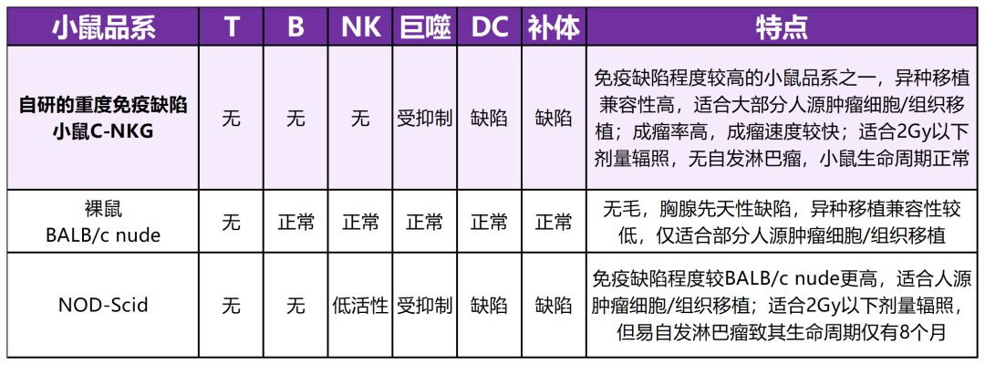 重度免疫缺陷鼠C-NKG 重度免疫缺陷鼠C-NKG