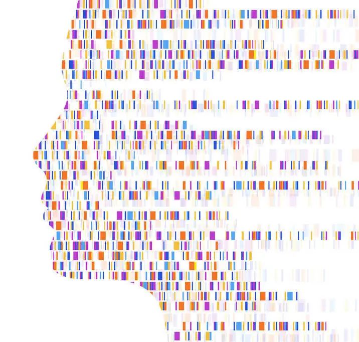 人源化小鼠模型在DNA重复序列致病中的应用