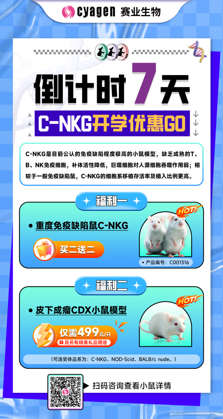 CDX皮下成瘤
