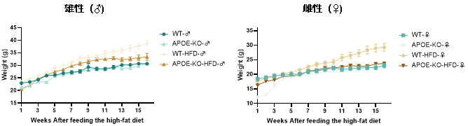 B6J-Apoe KO小鼠 B6J-Apoe KO小鼠