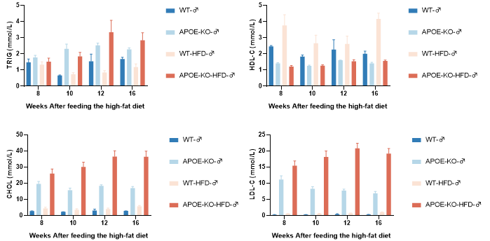 B6J-Apoe KO小鼠 B6J-Apoe KO小鼠