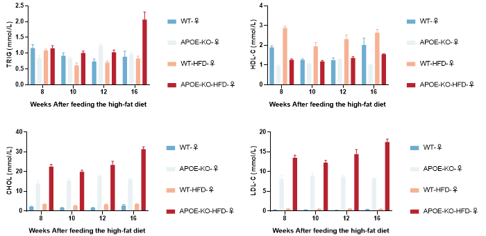 B6J-Apoe KO小鼠 B6J-Apoe KO小鼠