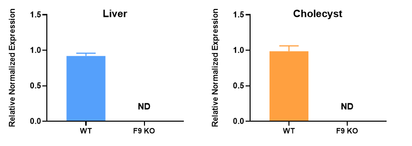 B型血友病疾病模型——F9 KO小鼠 B型血友病疾病模型——F9 KO小鼠