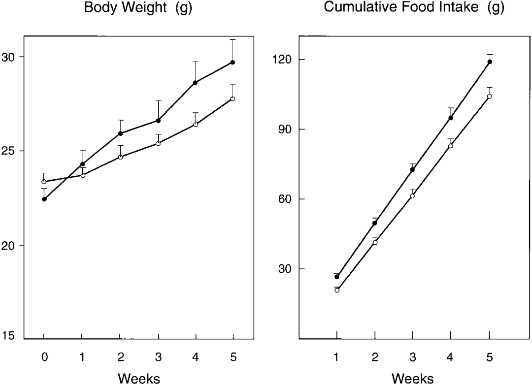 非LEP/LEPR遗传模型