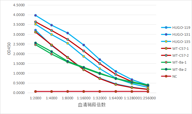 HUGO-Ab™全人源化抗体小鼠 HUGO-Ab™全人源化抗体小鼠
