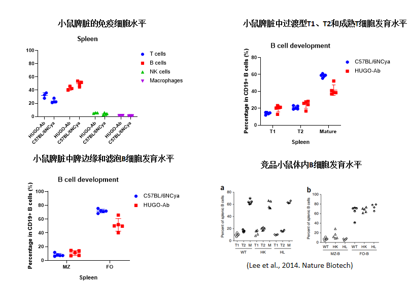HUGO-Ab™全人源化抗体小鼠 HUGO-Ab™全人源化抗体小鼠