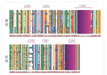 HUGO-Ab™全人源化抗体小鼠 HUGO-Ab™全人源化抗体小鼠
