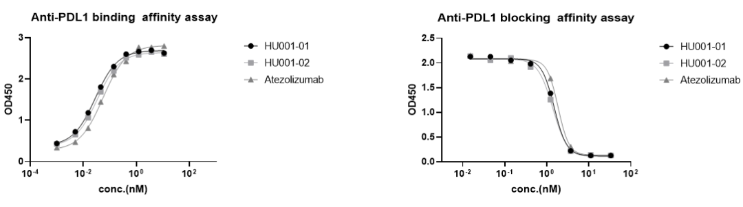 HUGO-Ab™全人源化抗体小鼠 HUGO-Ab™全人源化抗体小鼠