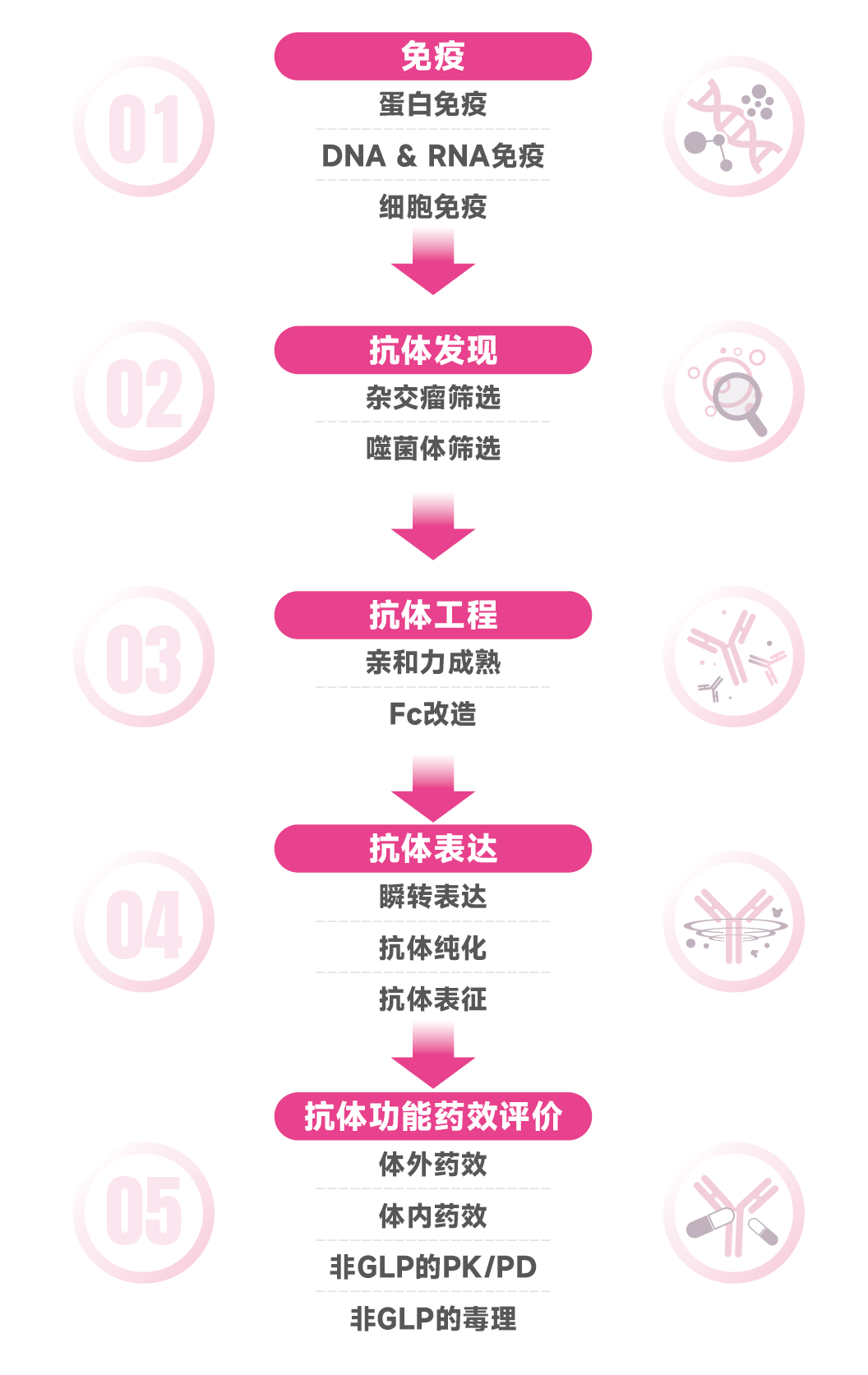 三.HUGO-Ab™全人源化抗体发现服务平台