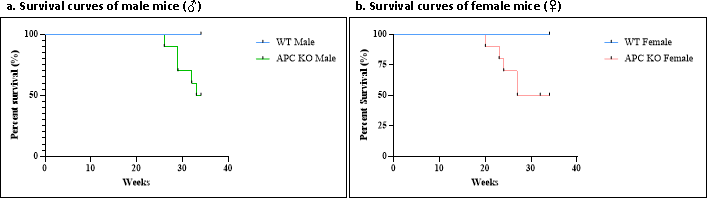 结直肠癌(CRC) 结直肠癌(CRC)
