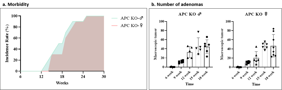 Apc KO小鼠 Apc KO小鼠