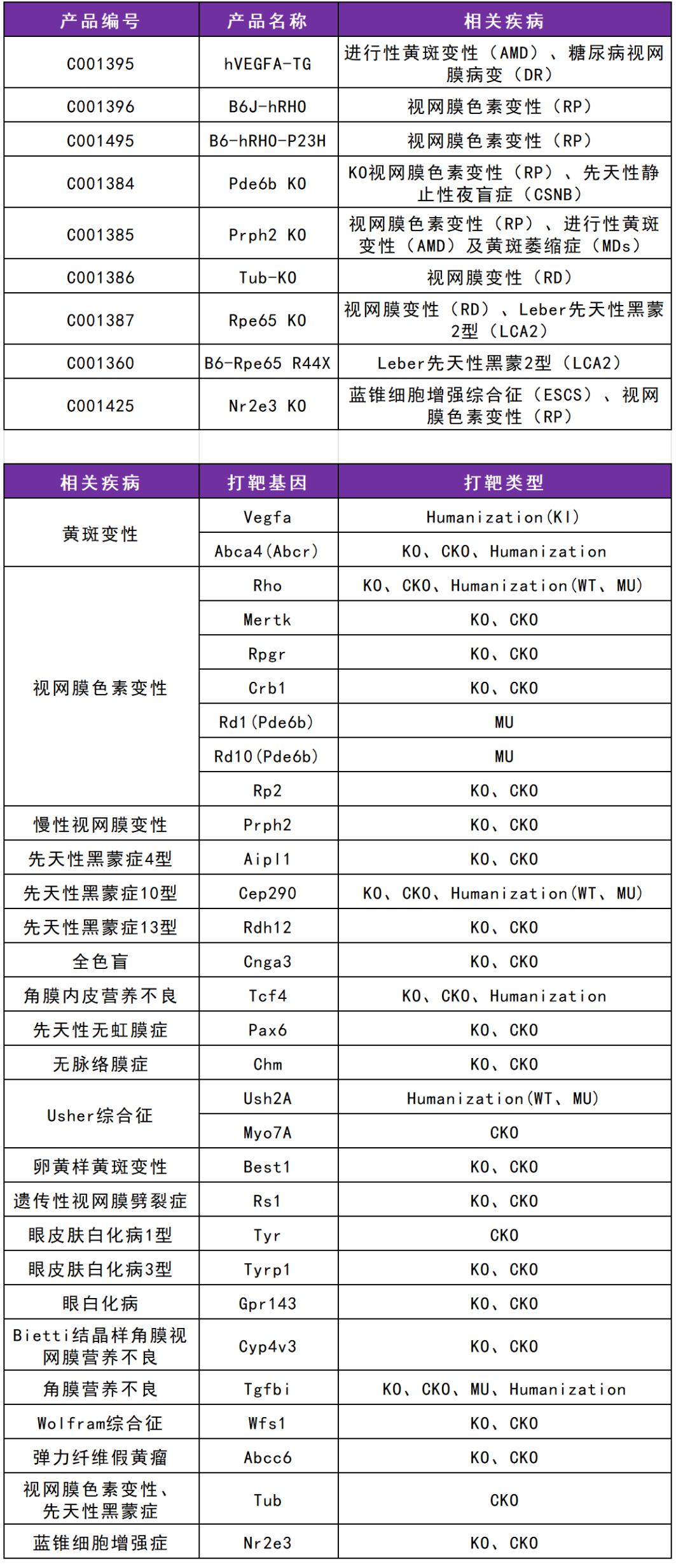 青光眼及其他眼科疾病的研究探索 青光眼及其他眼科疾病的研究探索