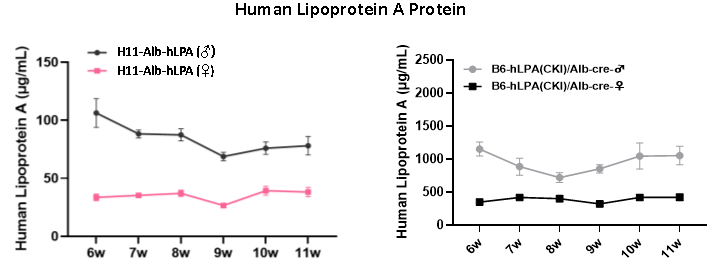 LPA人源化小鼠模型 LPA人源化小鼠模型