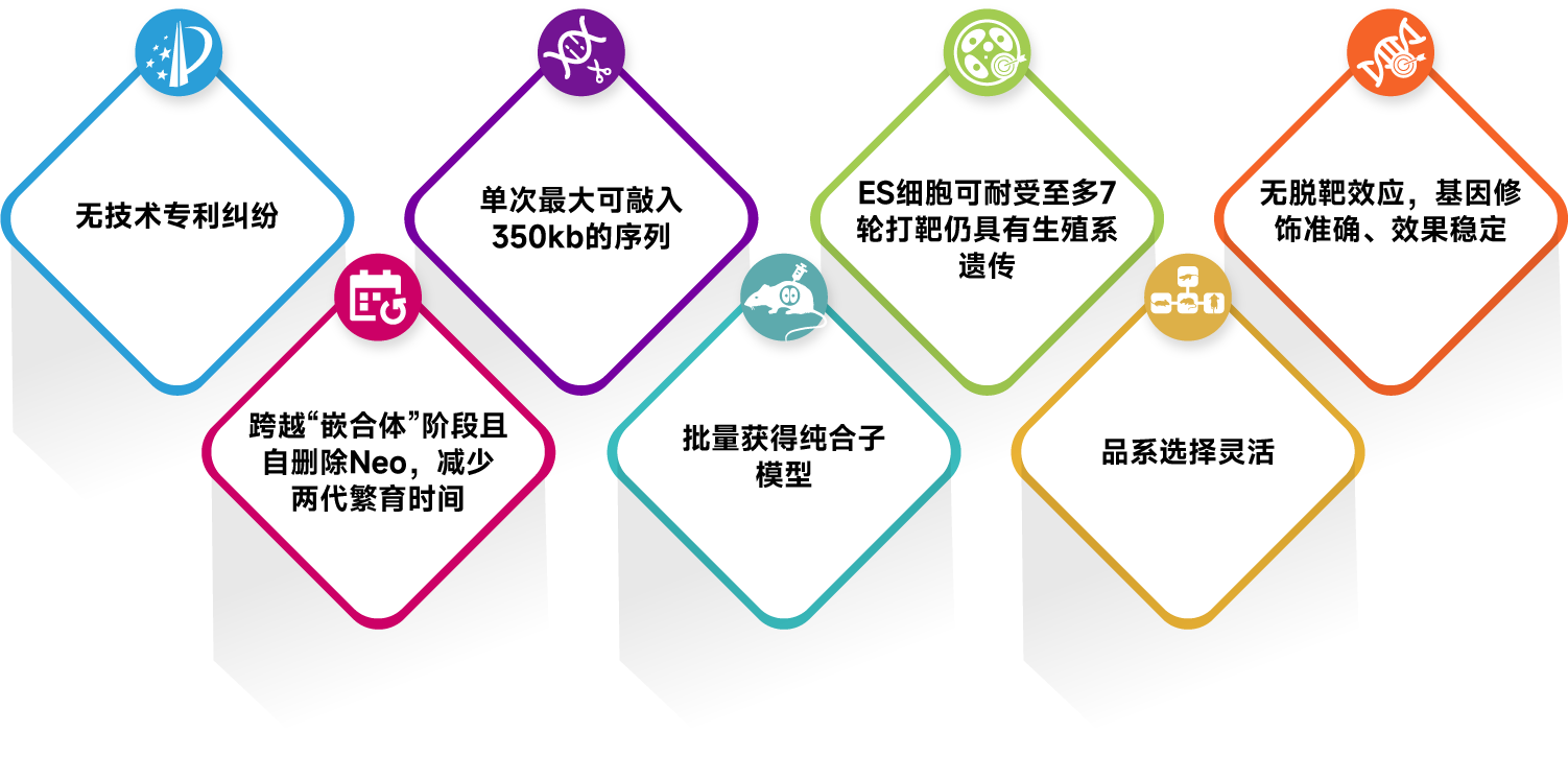 TurboKnockout技术快速构建复杂小鼠模型