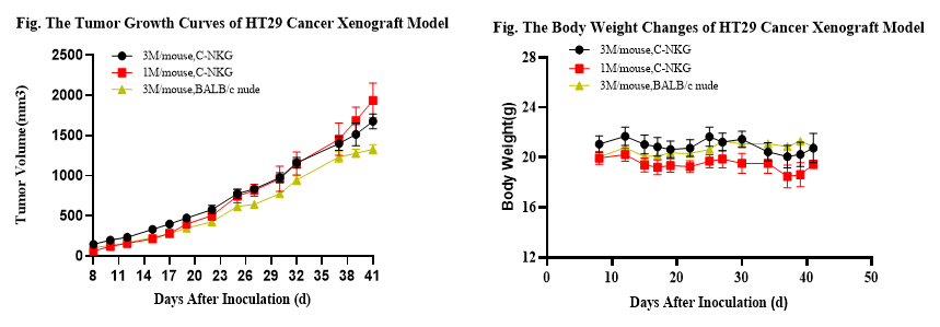 肿瘤疾病的常见动物模型——结肠癌篇 肿瘤疾病的常见动物模型——结肠癌篇