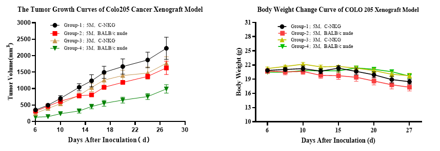 肿瘤疾病的常见动物模型——结肠癌篇 肿瘤疾病的常见动物模型——结肠癌篇