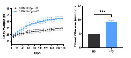 小鼠模型带来的代谢疾病与肿瘤免疫关系新视角