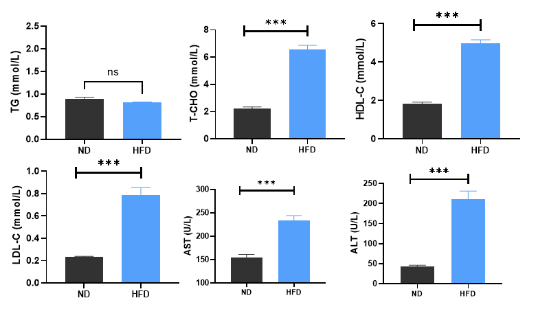 小鼠模型带来的代谢疾病与肿瘤免疫关系新视角