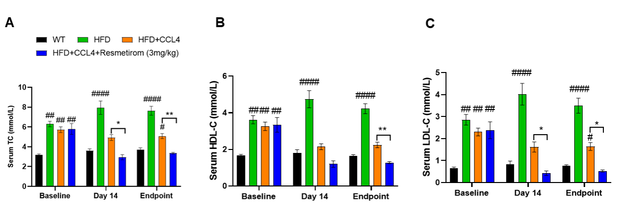 小鼠模型带来的代谢疾病与肿瘤免疫关系新视角