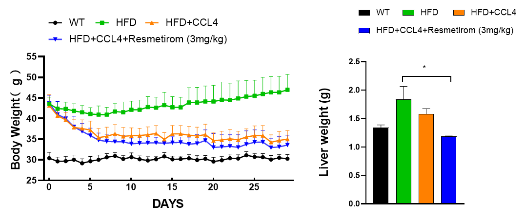 小鼠模型带来的代谢疾病与肿瘤免疫关系新视角