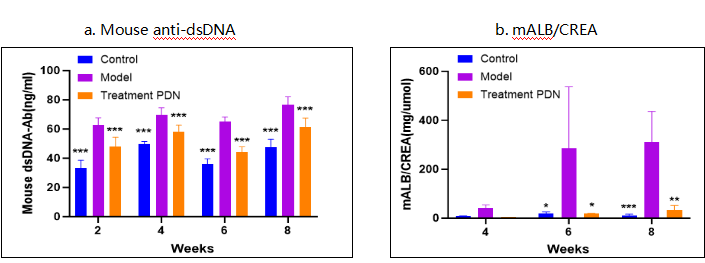 （SLE）研究小鼠