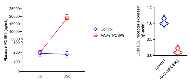 PCSK9模型验证数据