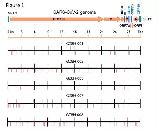 微信图片_20200403120914.jpg 微信图片_20200403120914.jpg