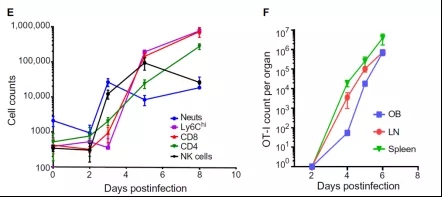 图1. 免疫细胞增殖趋势图