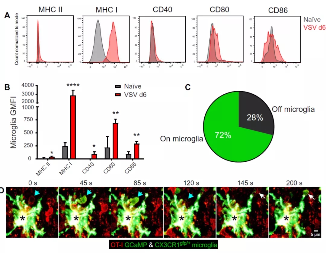 图4. 小胶质细胞激活细胞中的钙流