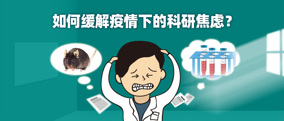 如何缓解疫情下的科研焦虑？