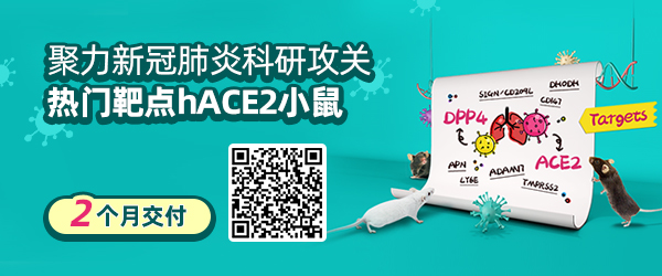 新冠肺炎热门靶点ACE2小鼠