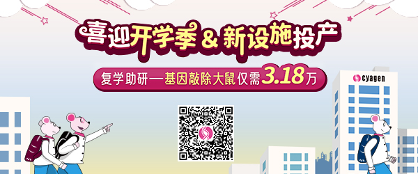 基因敲除大鼠优惠活动