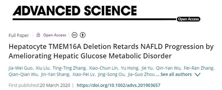 治疗非酒精性脂肪肝的新靶点