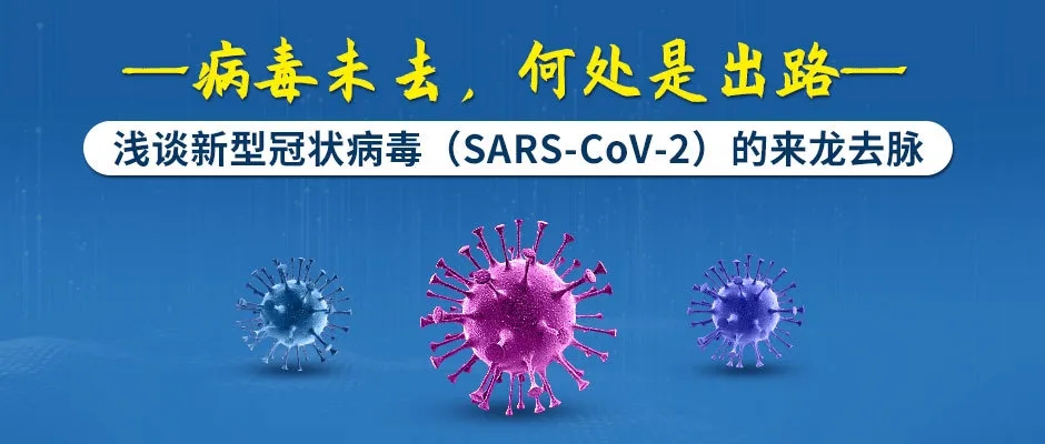 病毒未去,何处是出路