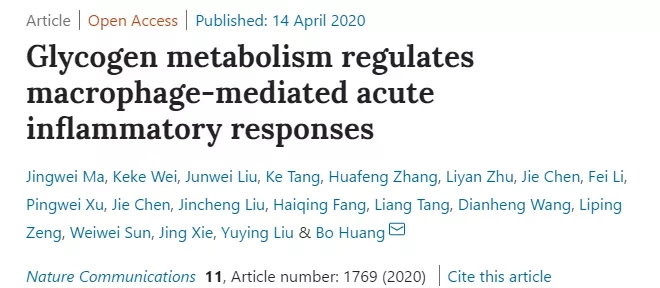 Glycogen metabolism regulates macrophage-mediated acute inflammatory responses