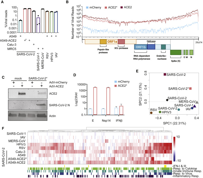 f5711a8fb769944932c0164a93bf39e6_1-s20-S009286742030489X-gr1.jpg f5711a8fb769944932c0164a93bf39e6_1-s20-S009286742030489X-gr1.jpg