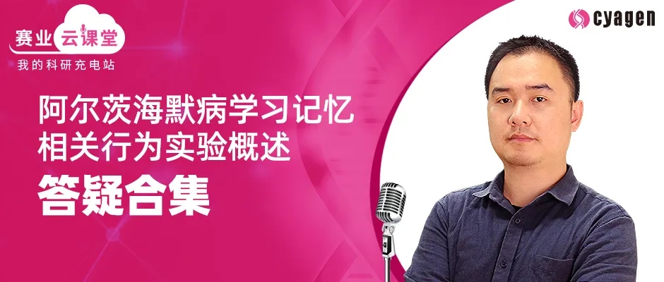 阿尔茨海默病学习记忆相关行为实验概述-答疑合集 阿尔茨海默病学习记忆相关行为实验概述-答疑合集