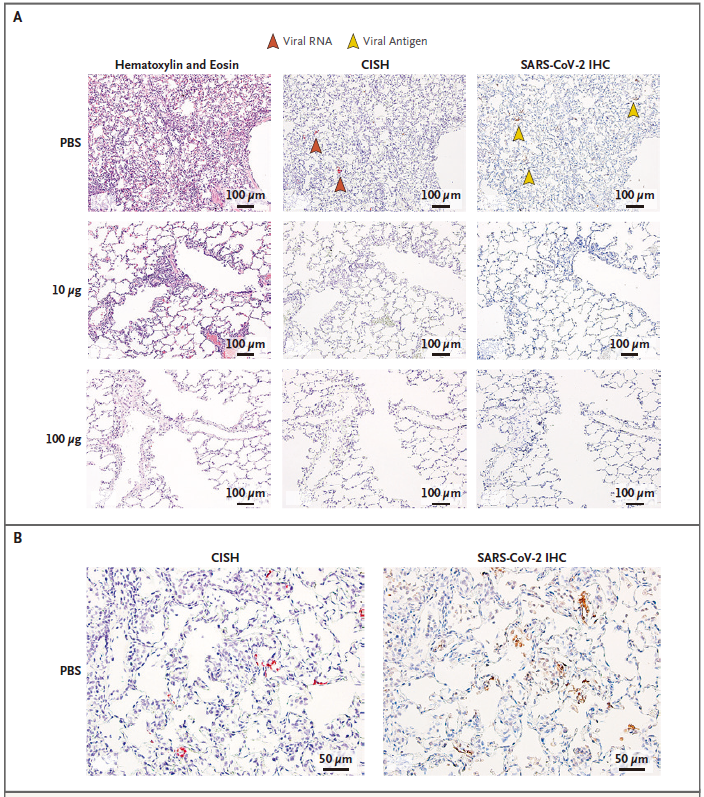 微信图片_20200803095420.png 微信图片_20200803095420.png