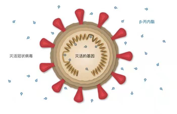 微信图片_20210111134304.jpg 微信图片_20210111134304.jpg
