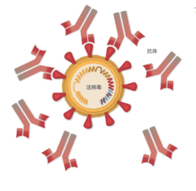 微信图片_20210111134438.png 微信图片_20210111134438.png