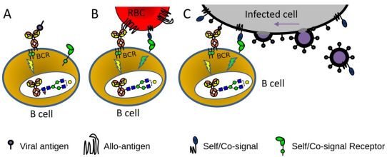 微信图片_20210105121835.jpg 微信图片_20210105121835.jpg