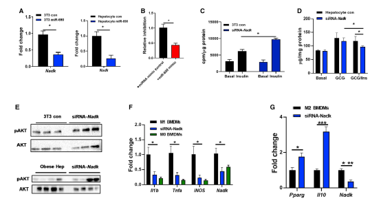 微信图片_20210127113101.png 微信图片_20210127113101.png