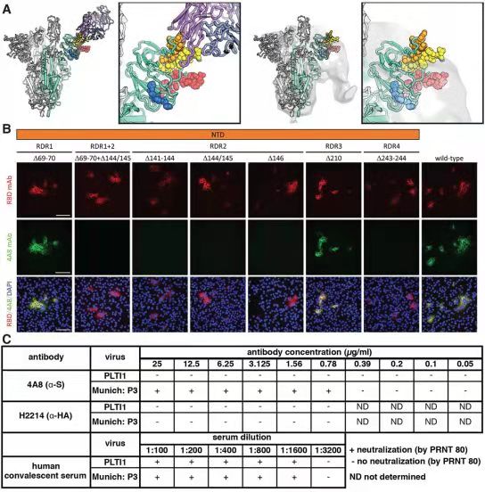微信图片_20210207112316.jpg 微信图片_20210207112316.jpg